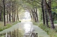 Zomer, Natuur en Vogelwacht Alblasserwaard