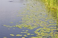 Boezemkanaal richting Donk