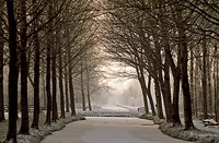 winter, natuur en vogelwacht Papendrecht