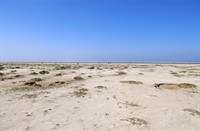 Strand Schiermonikoog, Schiermonikoog