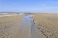 Vlieland