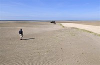 Vlieland