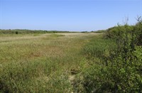 Schiermonnikoog, Nationaal Park Schiermonnikoog