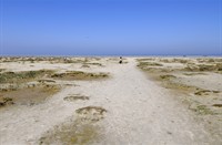 Schiermonnikoog, Nationaal Park Schiermonnikoog