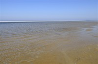 Schiermonnikoog, Nationaal Park Schiermonnikoog