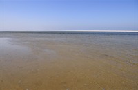 Schiermonnikoog, Nationaal Park Schiermonnikoog