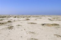 Schiermonnikoog, Nationaal Park Schiermonnikoog