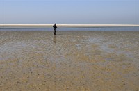 Schiermonnikoog, Nationaal Park Schiermonnikoog