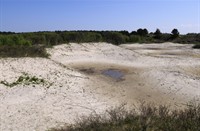 Schiermonnikoog, Nationaal Park Schiermonnikoog