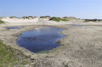 Schiermonnikoog, Nationaal Park Schiermonnikoog