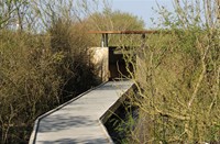 Schiermonnikoog, Nationaal Park Schiermonnikoog