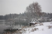 Sneeuwdek in de overlaat