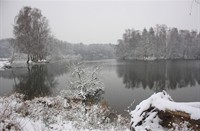 Winter in de Overlaat