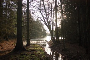 Overlaat