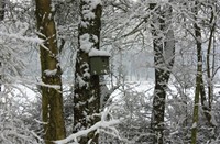 eigen huis en tuin