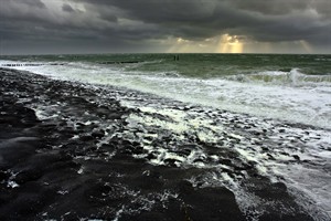 Kust Westerschouwen