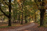 Boswachterij Leersum