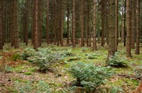 Gorp de leij