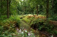 Gorp de leij