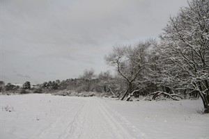 Duinpad in de sneeuw