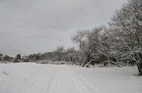 Duinpad in de sneeuw