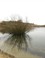 Oosterplas 