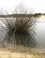 Oosterplas 