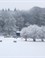 Winter op landgoed Heuven