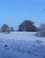 Winter op de Posbank