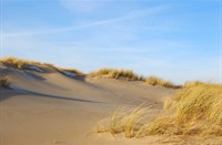 Duinen, Nationaal Park Duinen van Texel