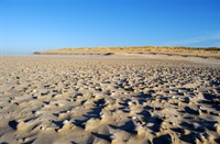Texel, Nationaal Park Duinen van Texel