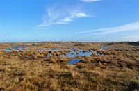 De Slufter, Texel, Nationaal Park Duinen van Texel