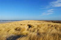 Texelse duinen, Nationaal Park Duinen van Texel