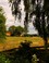 Landschap Westerwolde