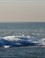 Kruiend ijs op het IJsselmeer