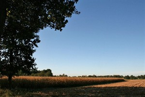 Polderlandschap Breda