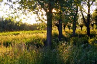 avondzon Zouweboezem