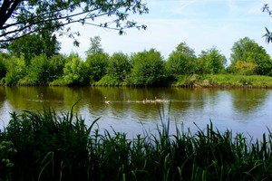Reeuwijkse plassen