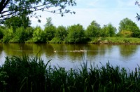 Reeuwijkse plassen