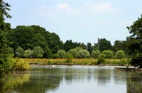 Reeuwijkse plassen