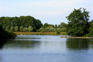 Reeuwijkse plassen