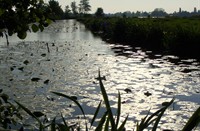Reeuwijkse plassen tegen de avond