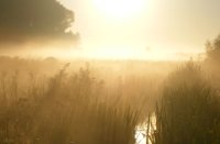 Ochtendzon in lage mist, Nieuw Wulven