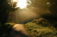 ochtendzon in lage mist, Nieuw Wulven