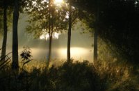Ochtendzon in lage mist, Nieuw Wulven