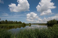Vóór De Poelruiter