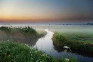 Arkemheen in de ochtendnevel