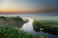 Arkemheen in de ochtendnevel