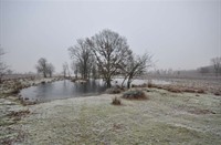 verzicht, Bargerveen