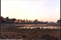 strijbeekse heide